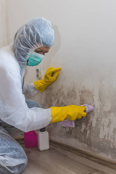 Best Emergency Mold Remediation  in Monroe, NC