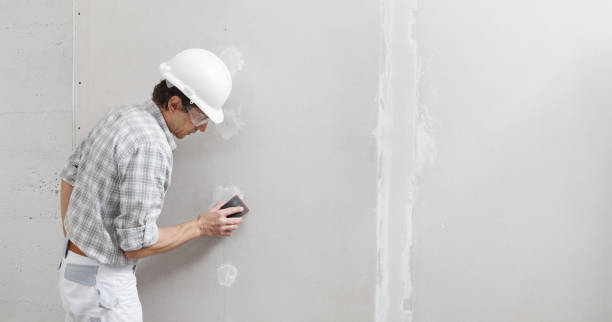 Trusted Monroe, NC Mold Removal Experts