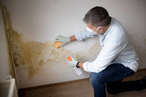 Best Mold Remediation for Healthcare Facilities  in Monroe, NC