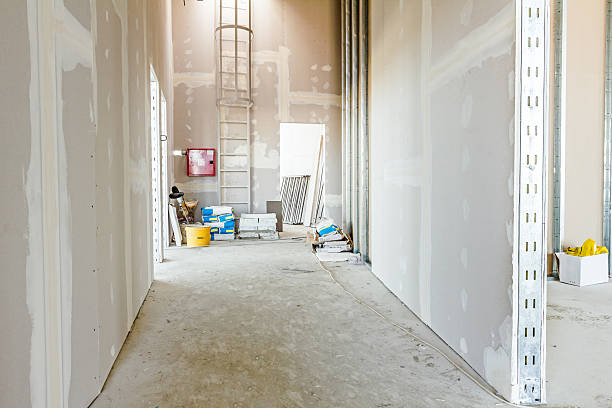 Best Attic Mold Removal  in Monroe, NC